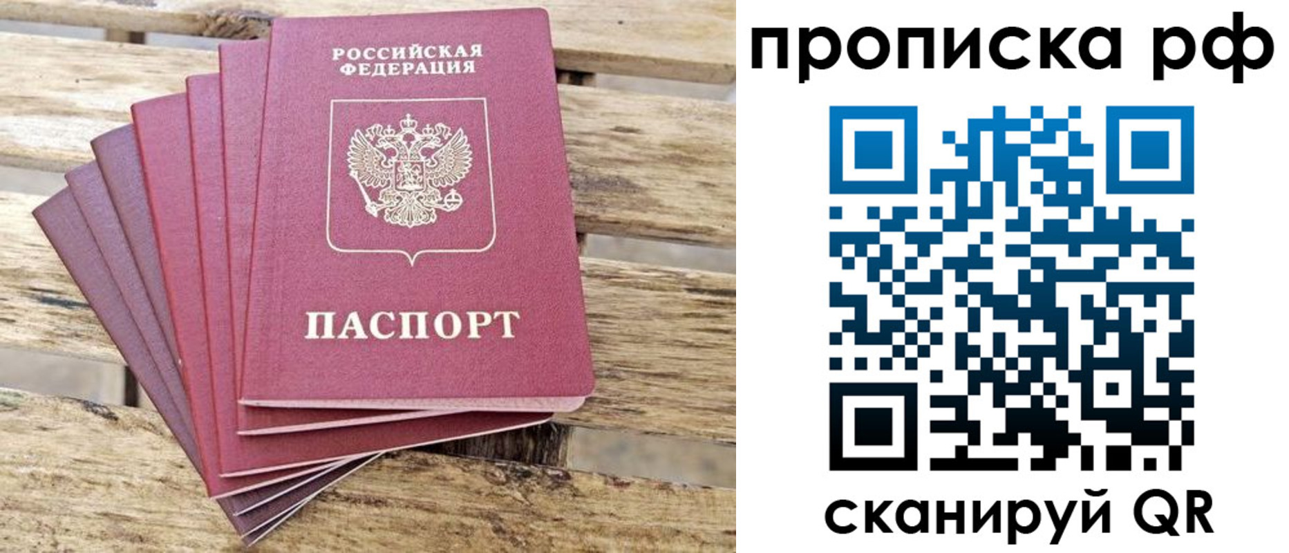 прописка гарантия в Щиграх